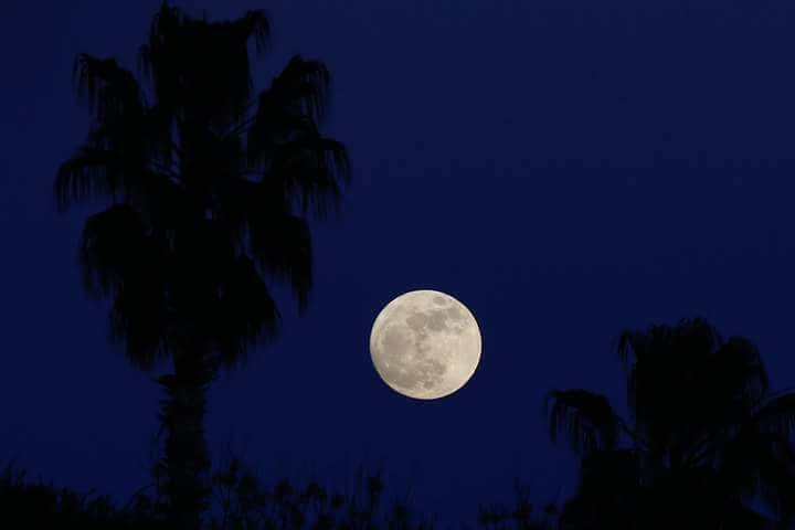 the moon