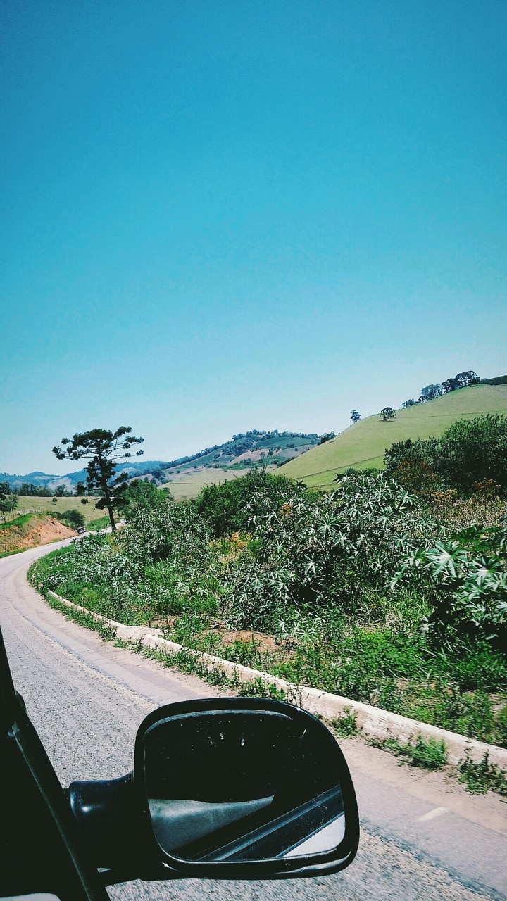 Liberdade