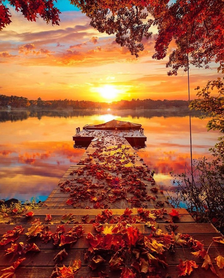 autumn