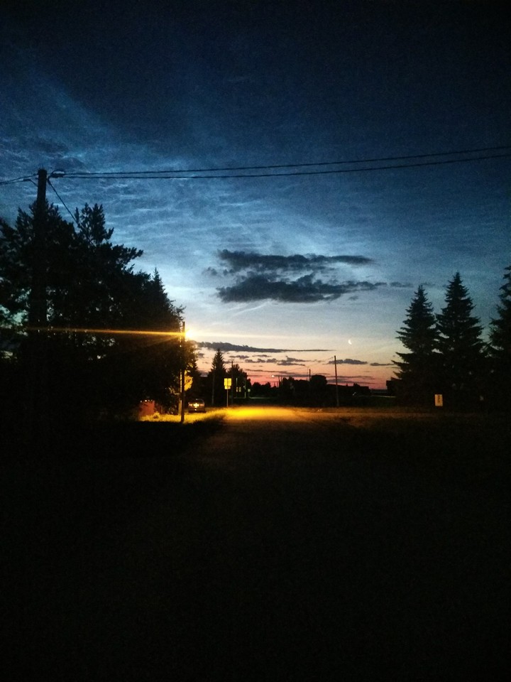 nature photography