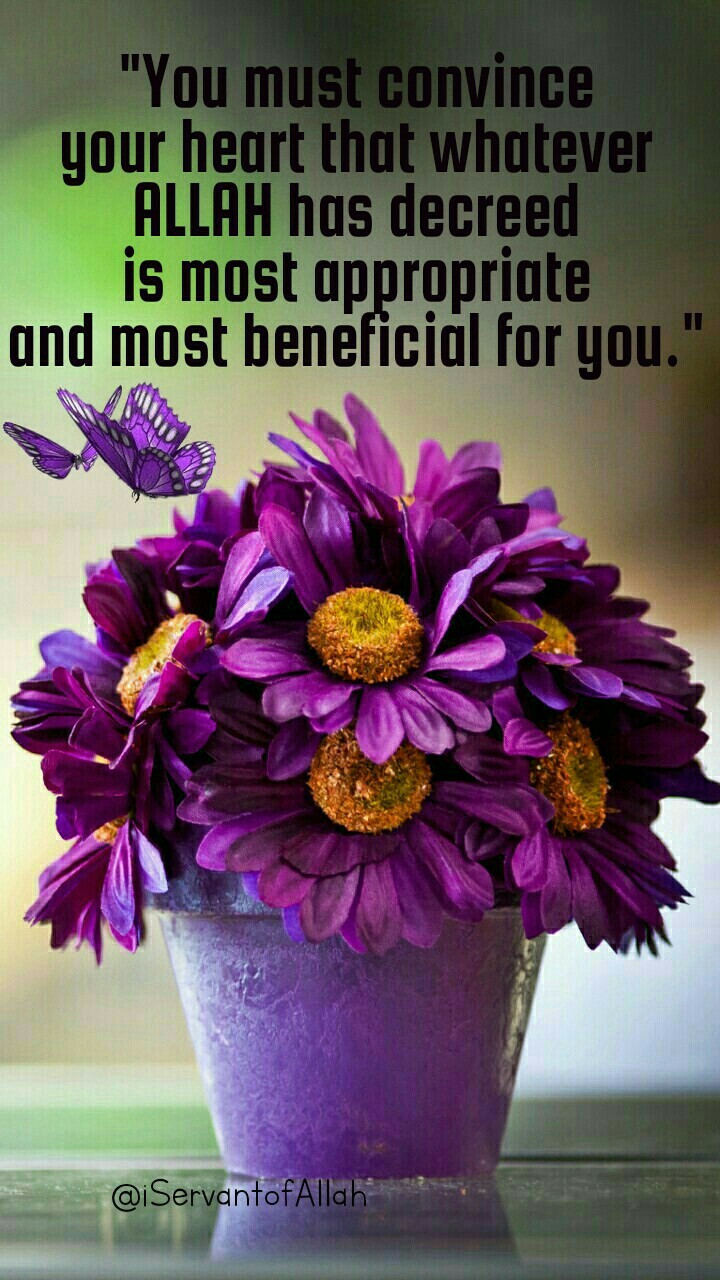 beautiful quote