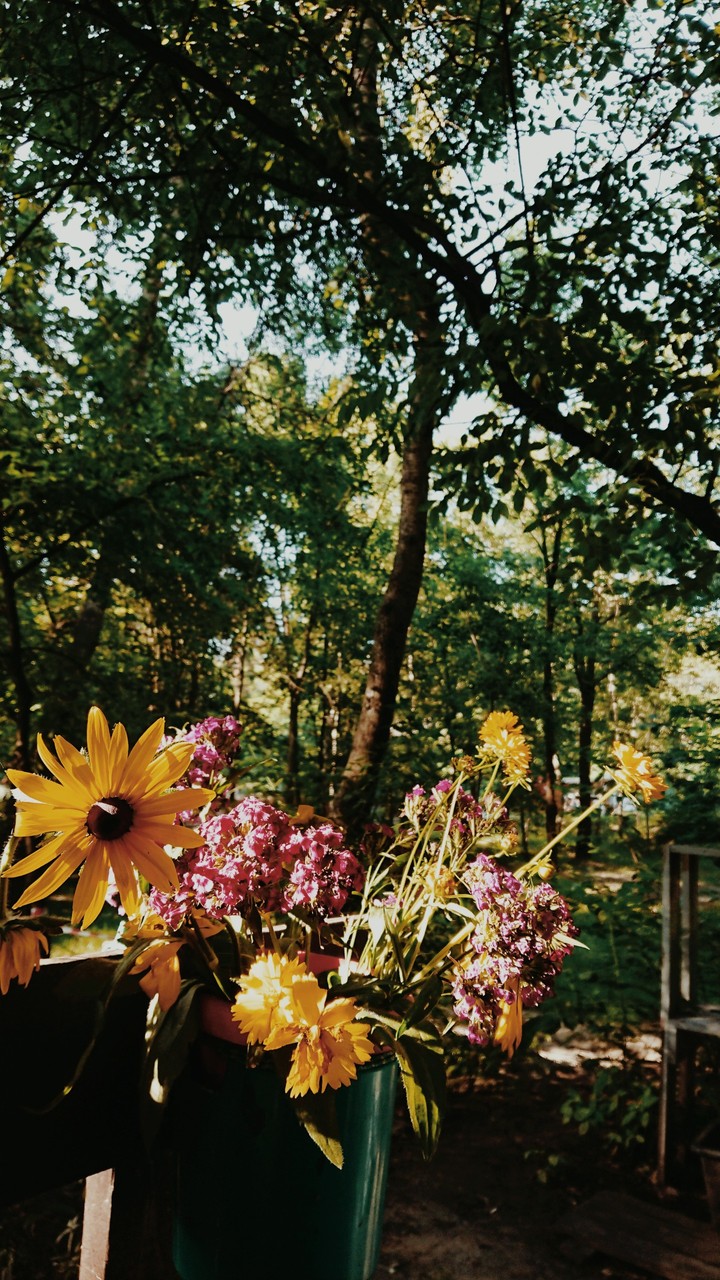 flowers
