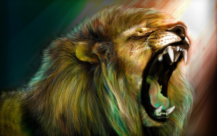 loin