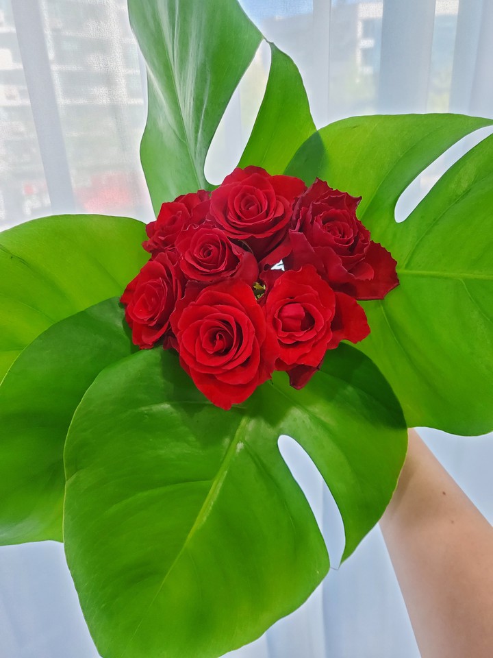 Rose