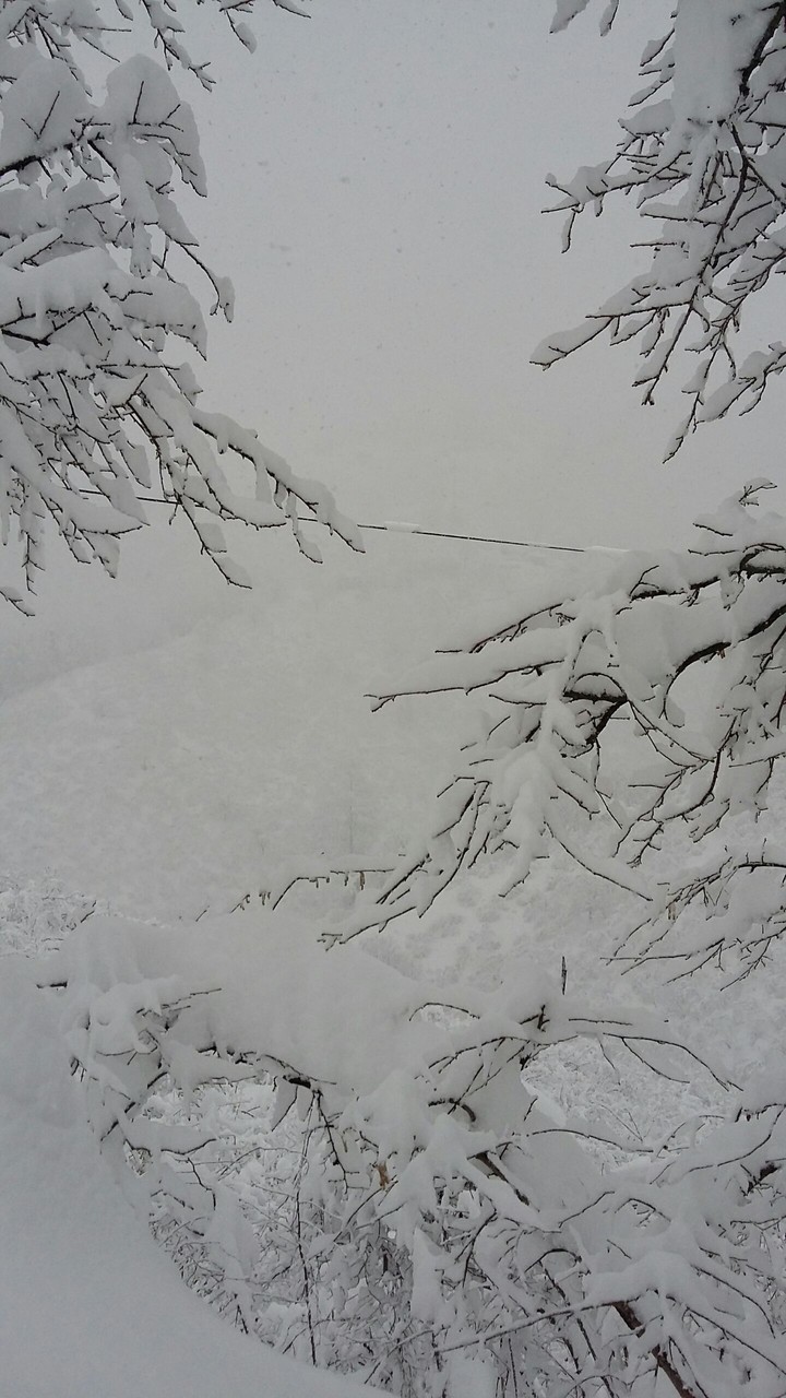 Snow