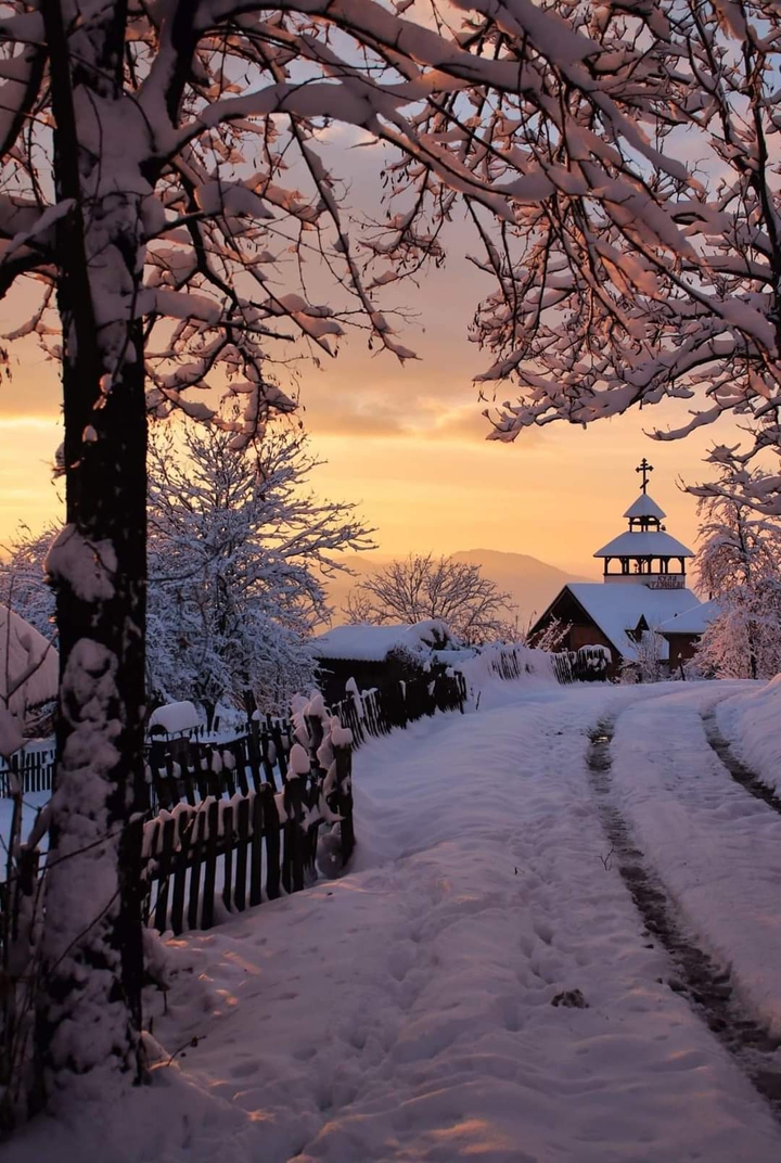 Winter