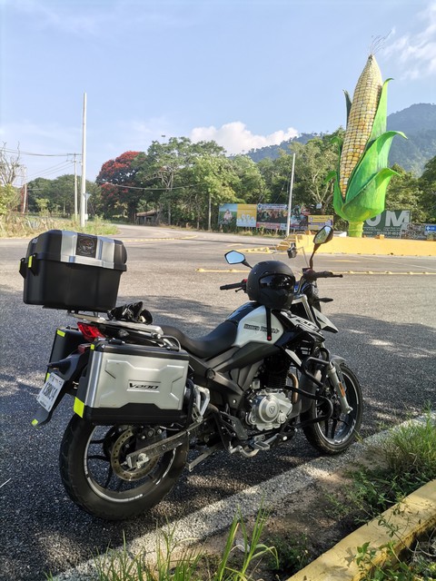 V200