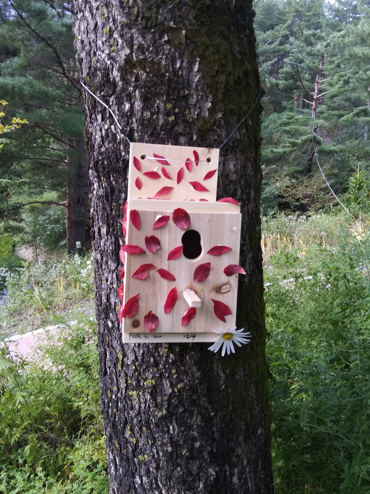 Bird house
