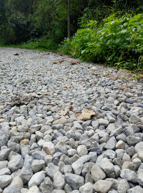 lane and rock