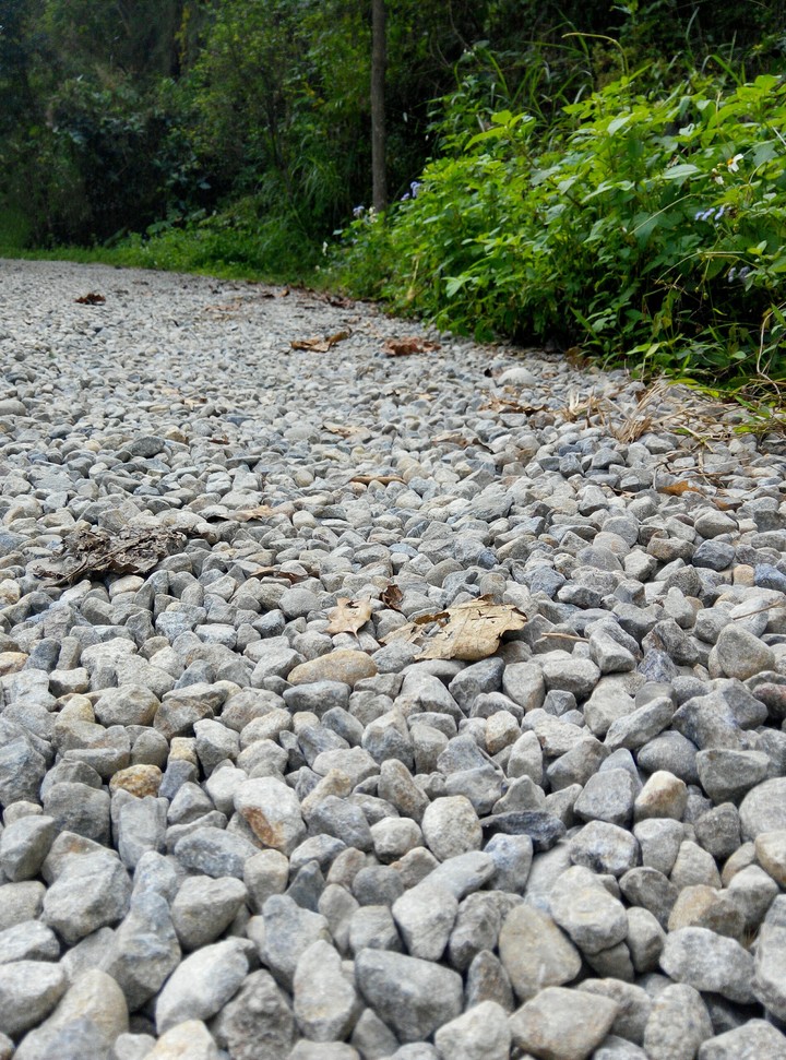 lane and rock