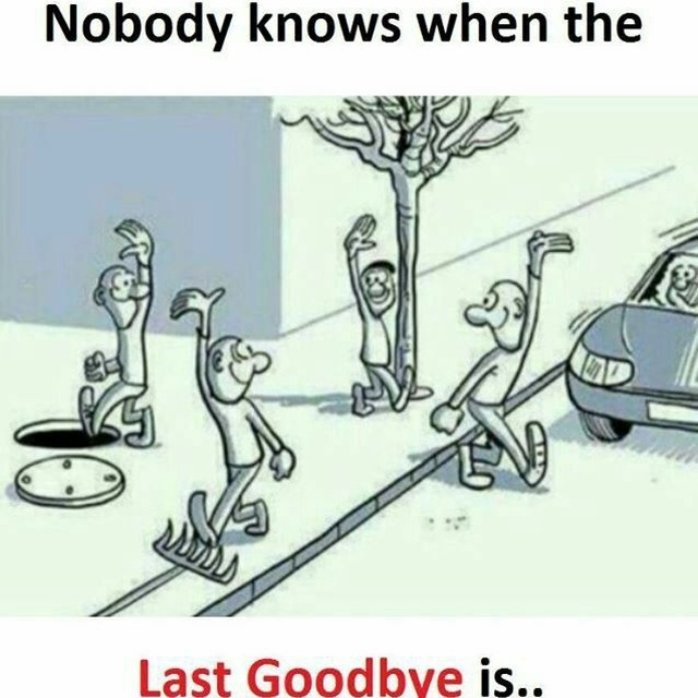 last good bye ...
