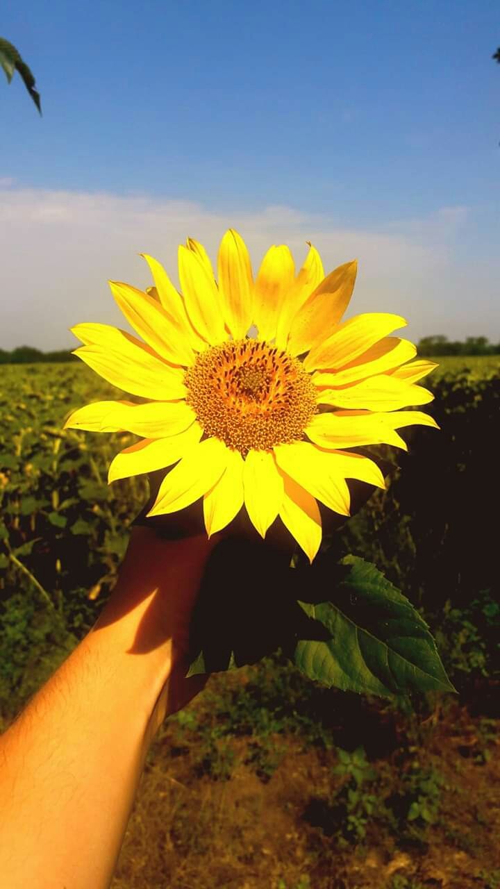 природа