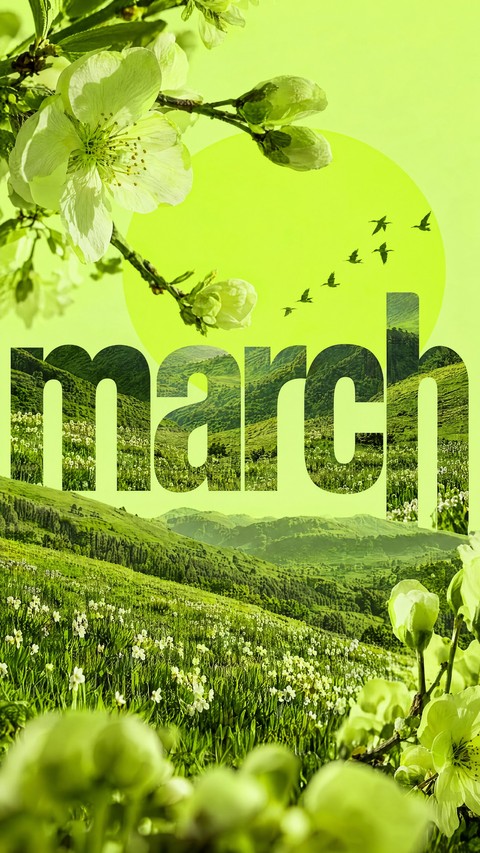 poster, tulip वॉलपेपर
