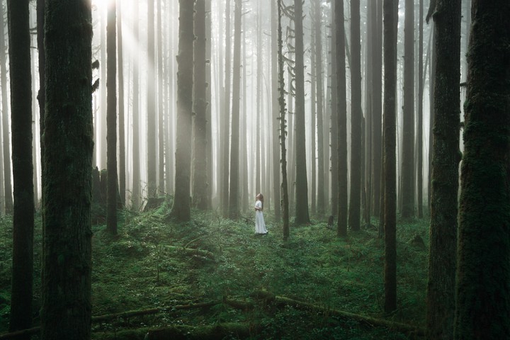 Spirit of the Forest