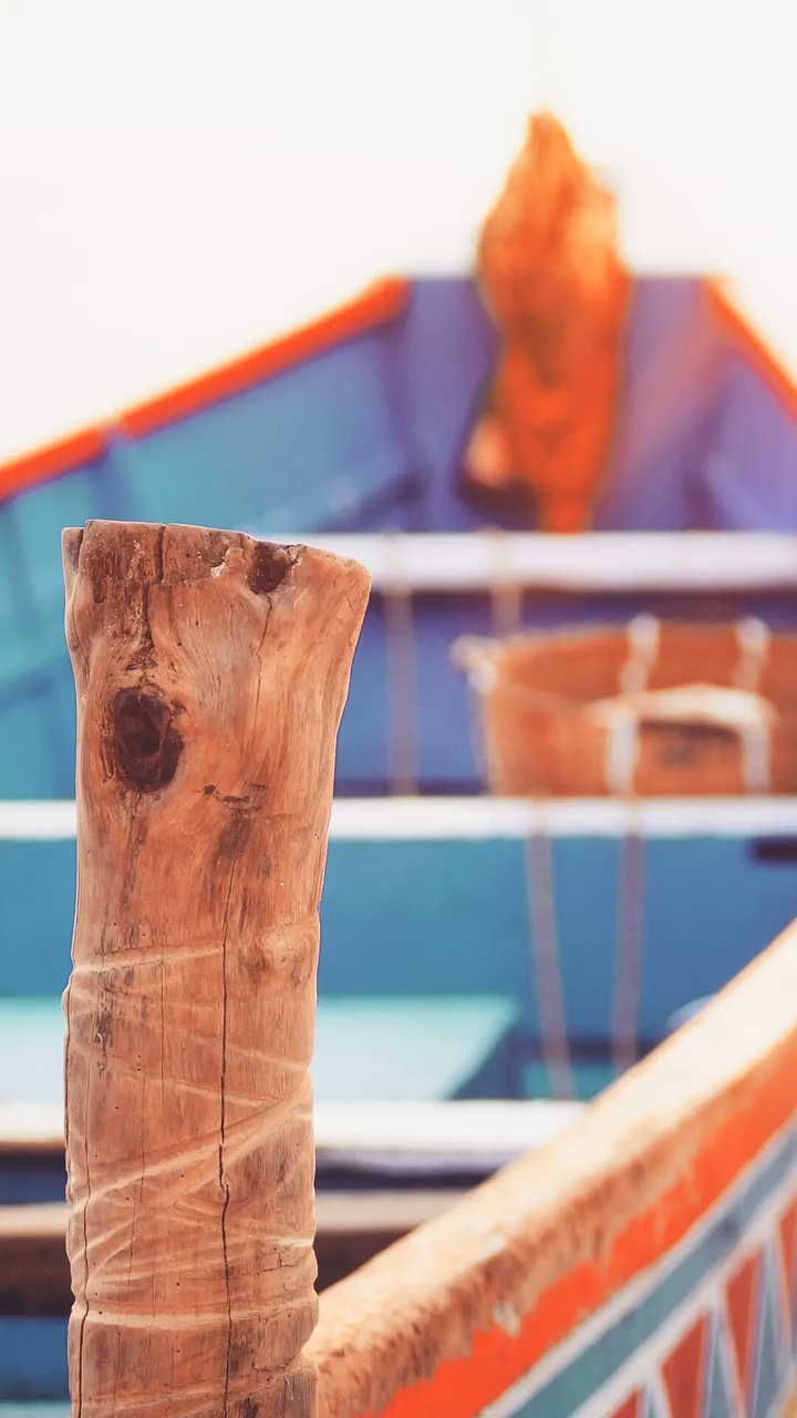 Wood