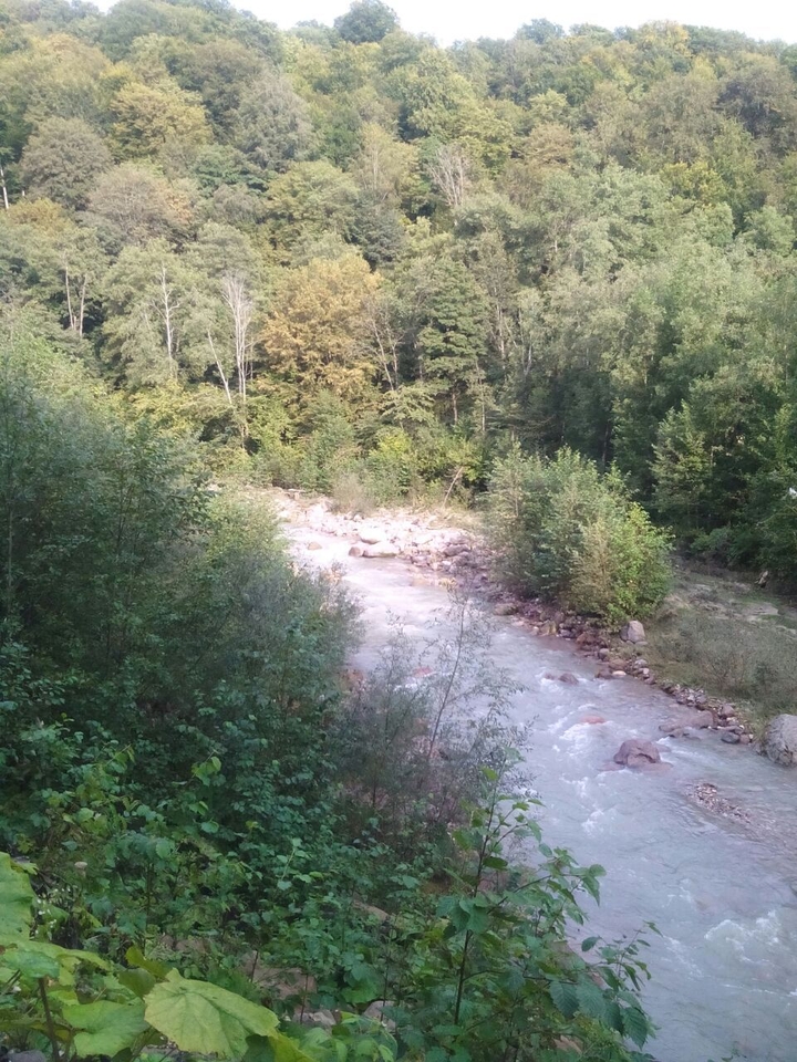 Река