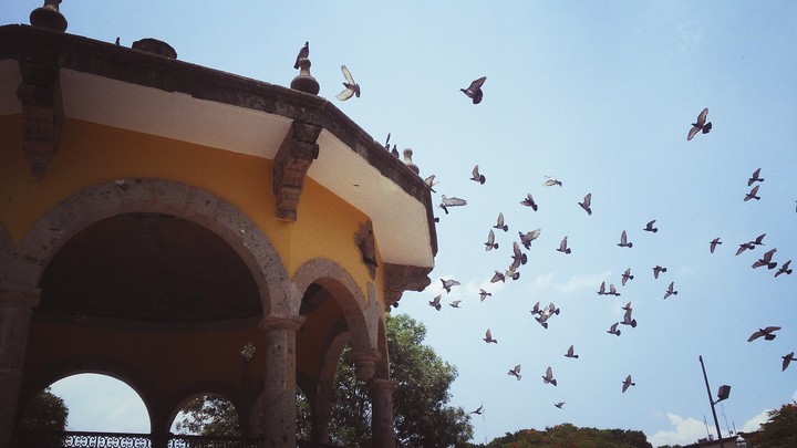 kiosko