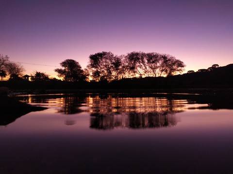 reflexo
