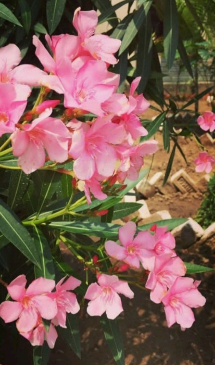 for you