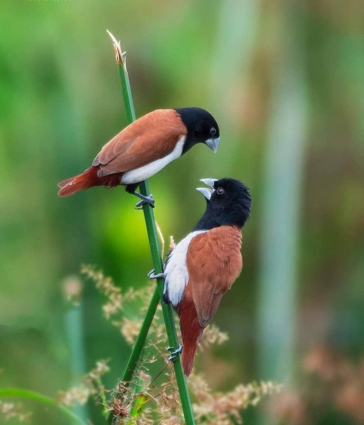 #lovely
