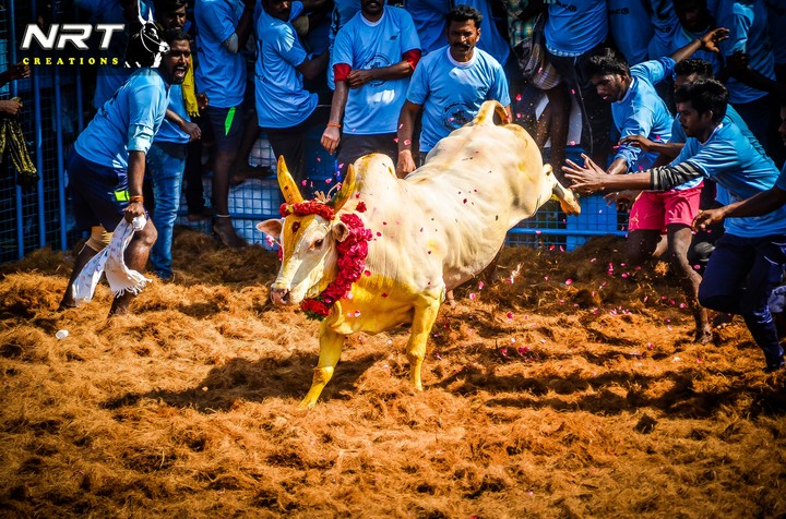 G.R.THANGAM