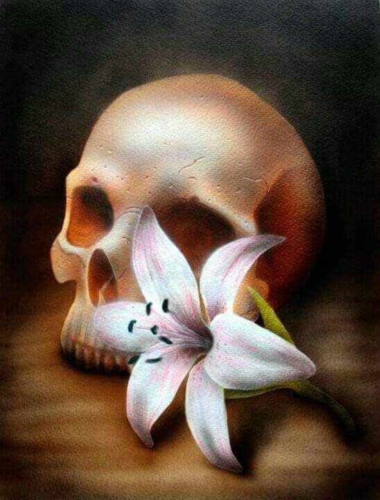 skull