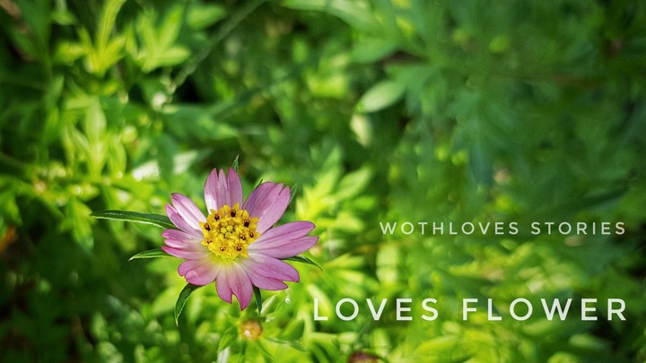 loves flower