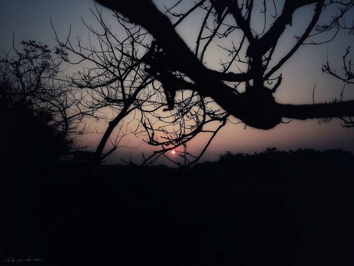 sunset