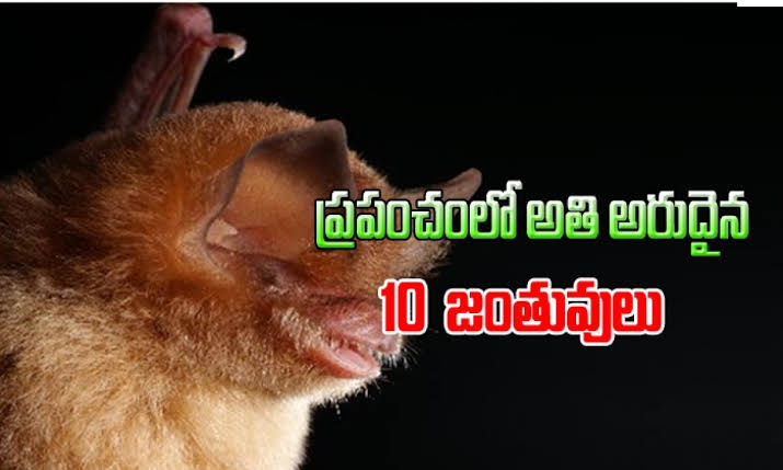 Kannada