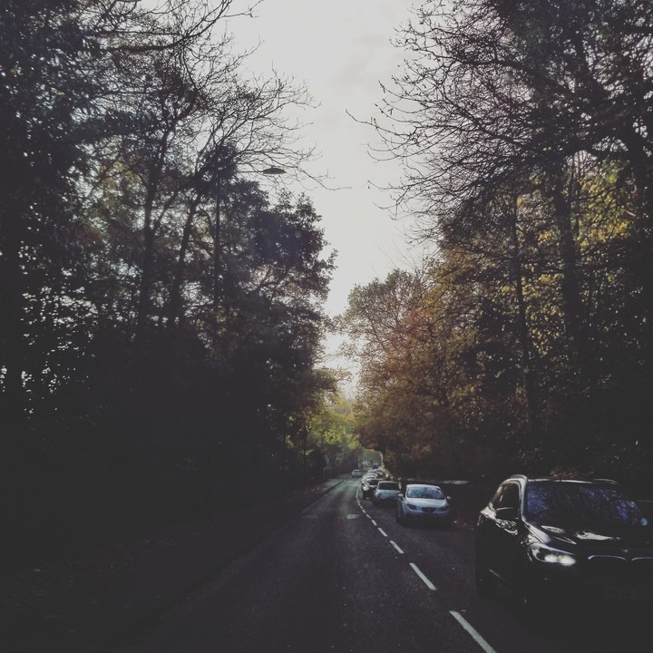 Late autumn