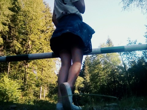 обои grass, sky