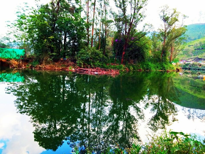 Nature.. scenario..