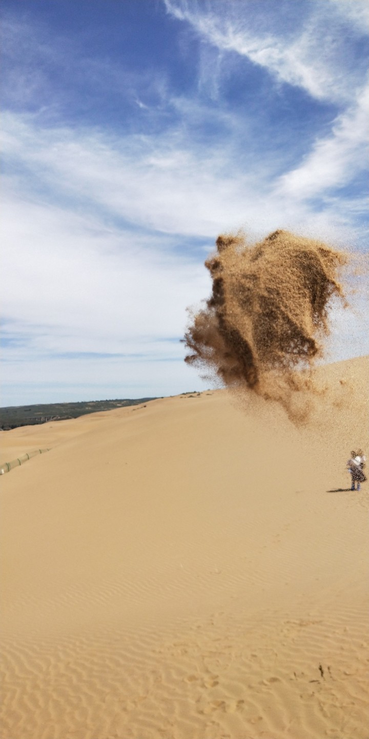 沙 sand