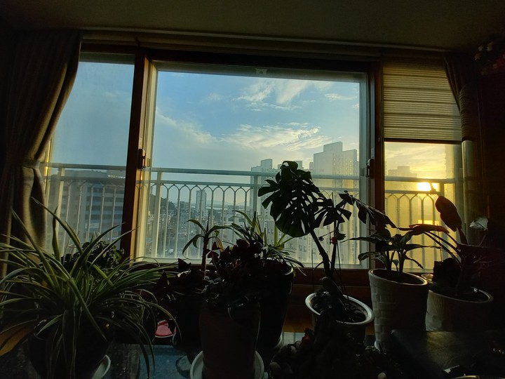 sun