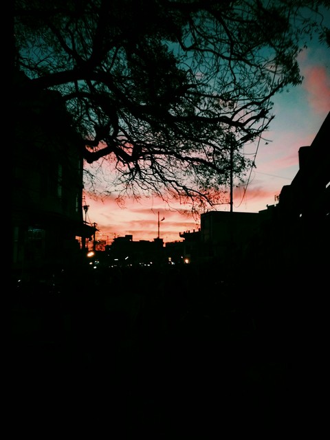 lighting Nature.