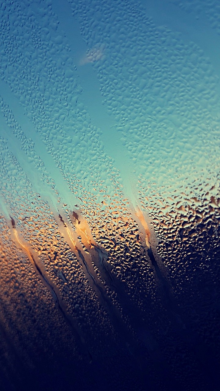 morning