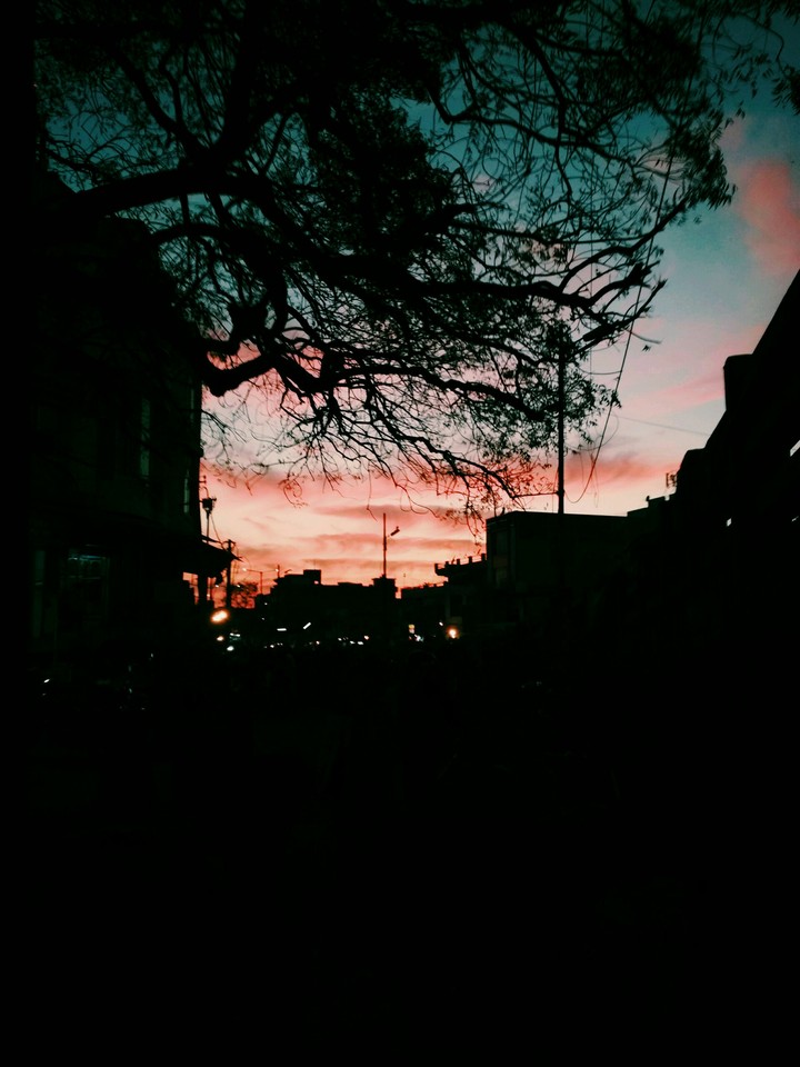 lighting Nature.