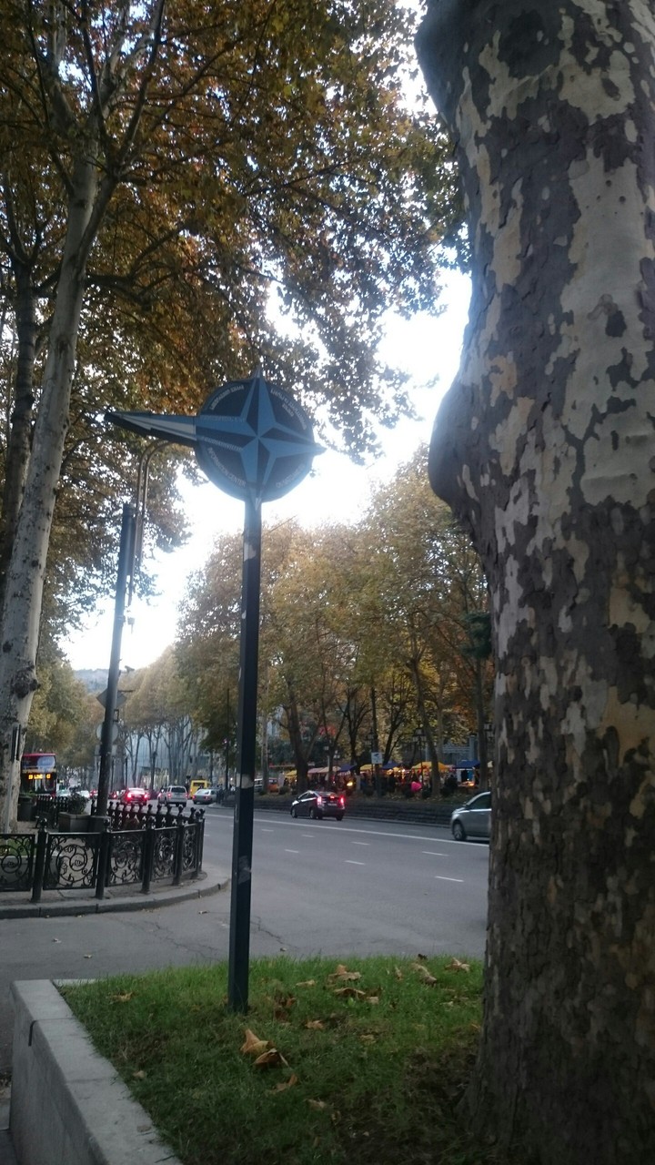 Street NATO