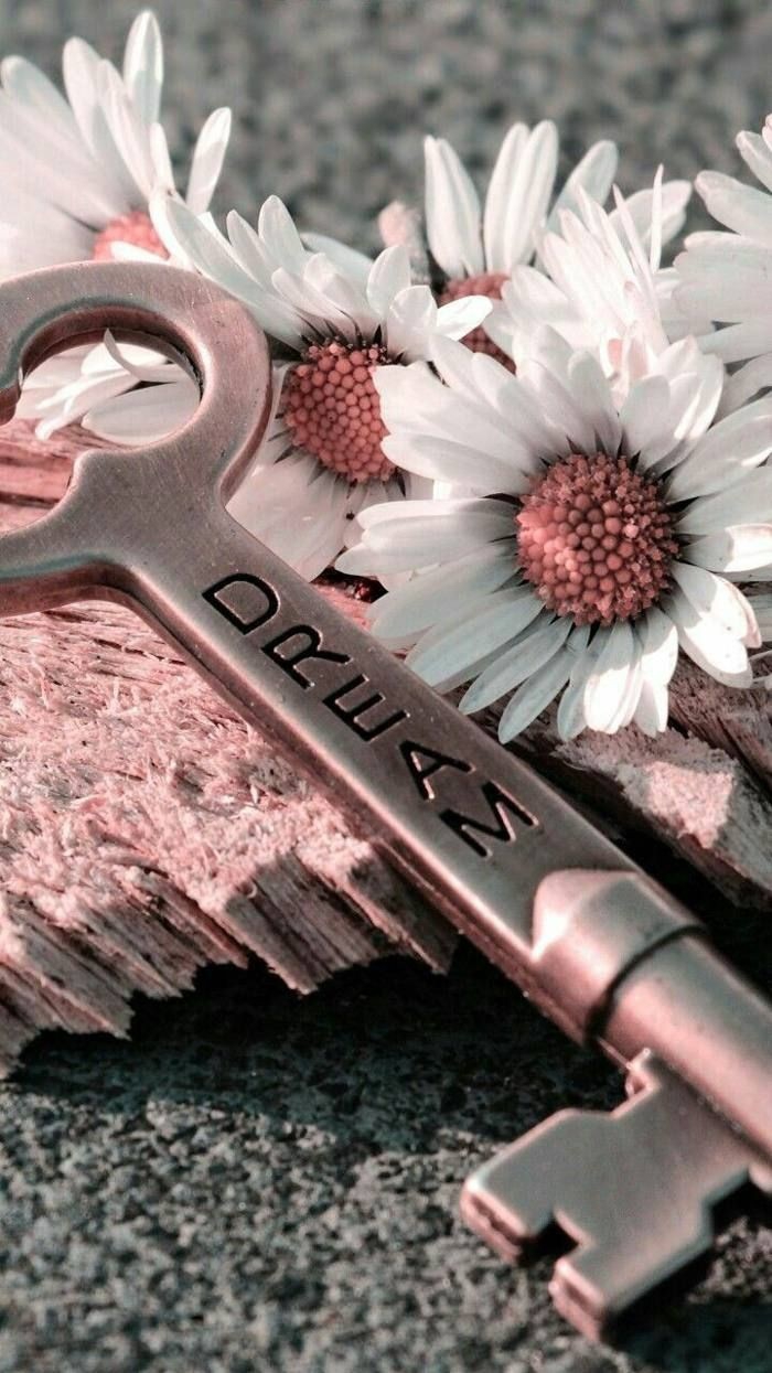 dreams