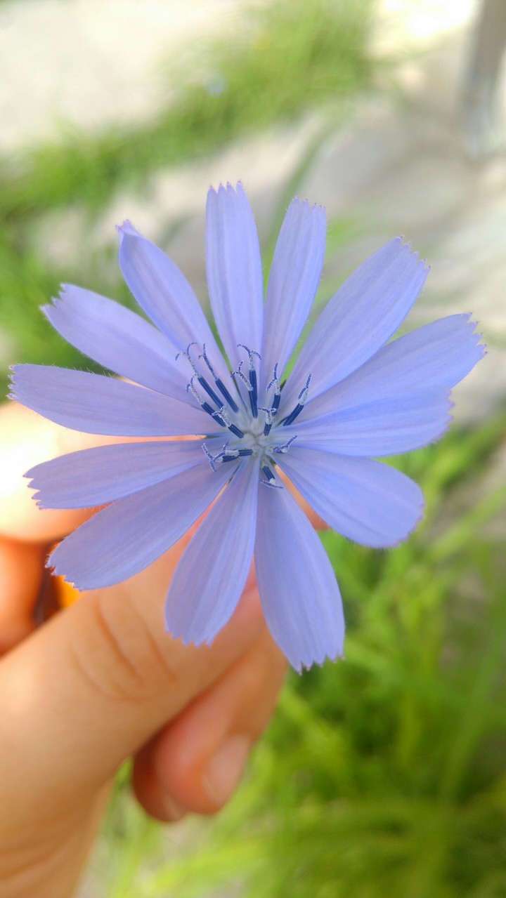 Lovely