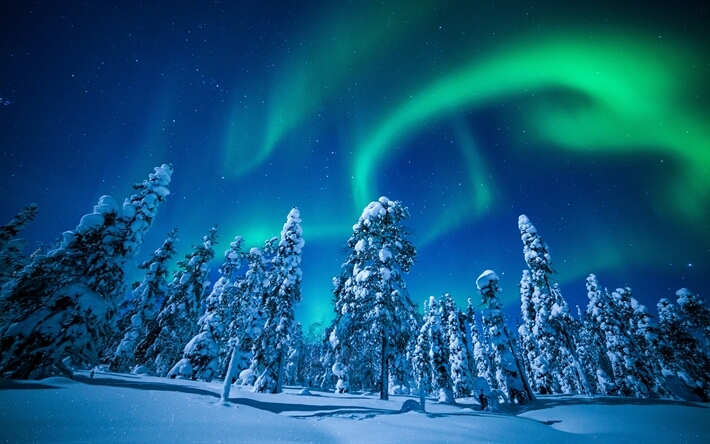 Northern lights