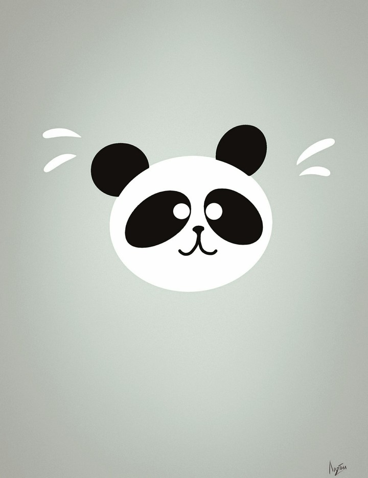 pAnda 2