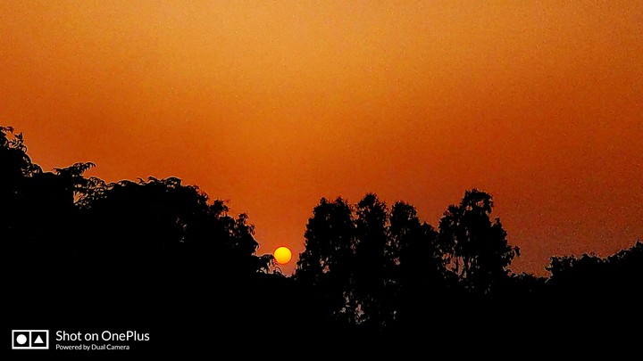 the view of my terrace