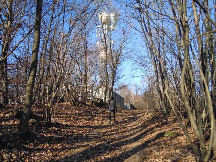 ripetitore nel bosco