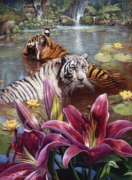 nature