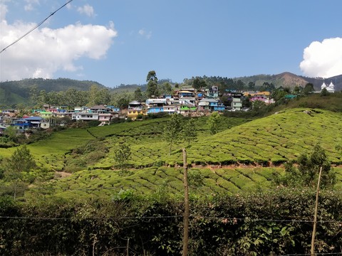 colours of Munnar
