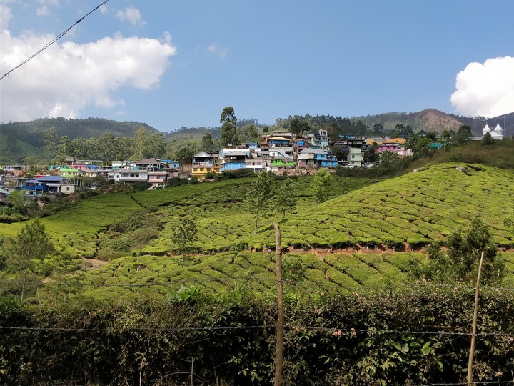 colours of Munnar