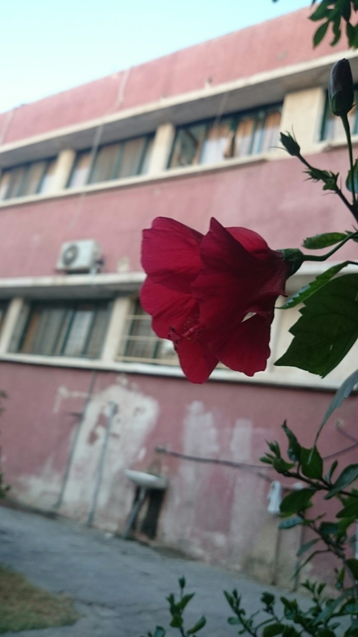 hospital