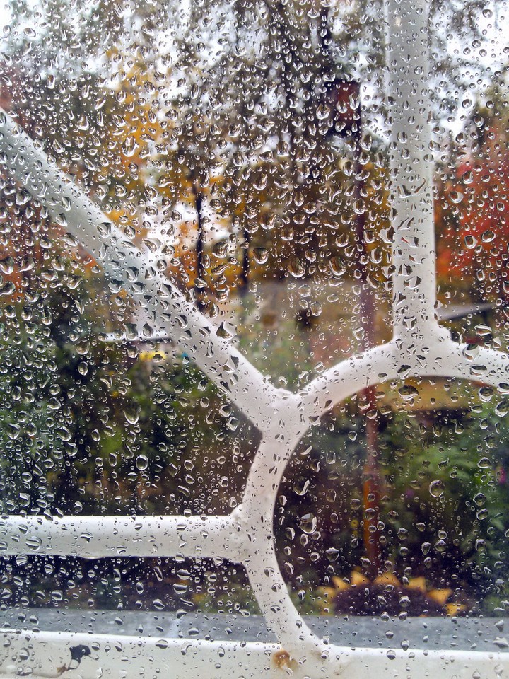 Autumn rain