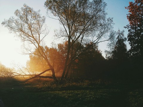 park
